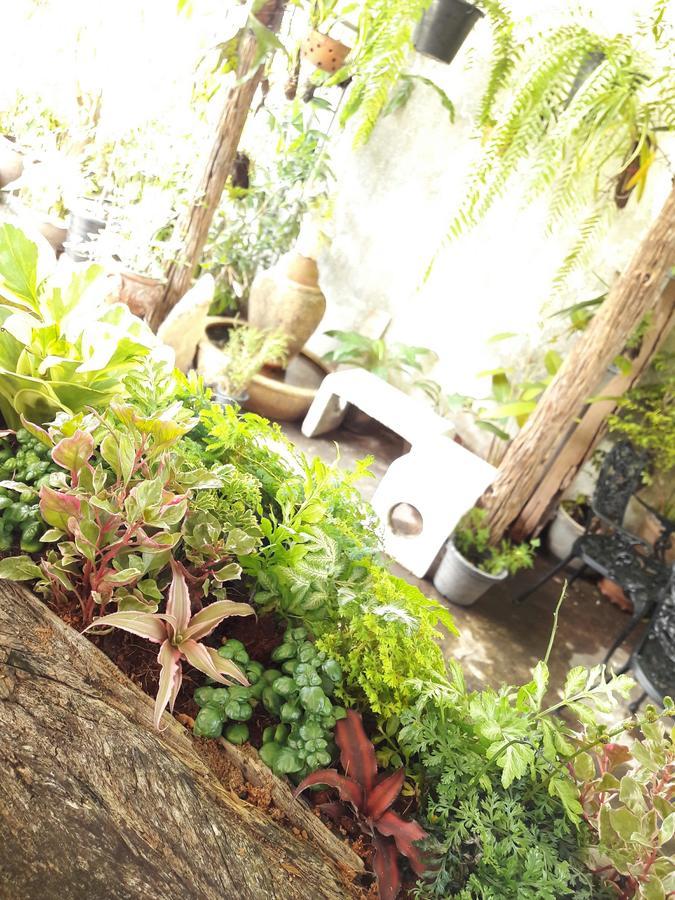 Muang Khon Guest House Nakhon Si Thammarat Luaran gambar